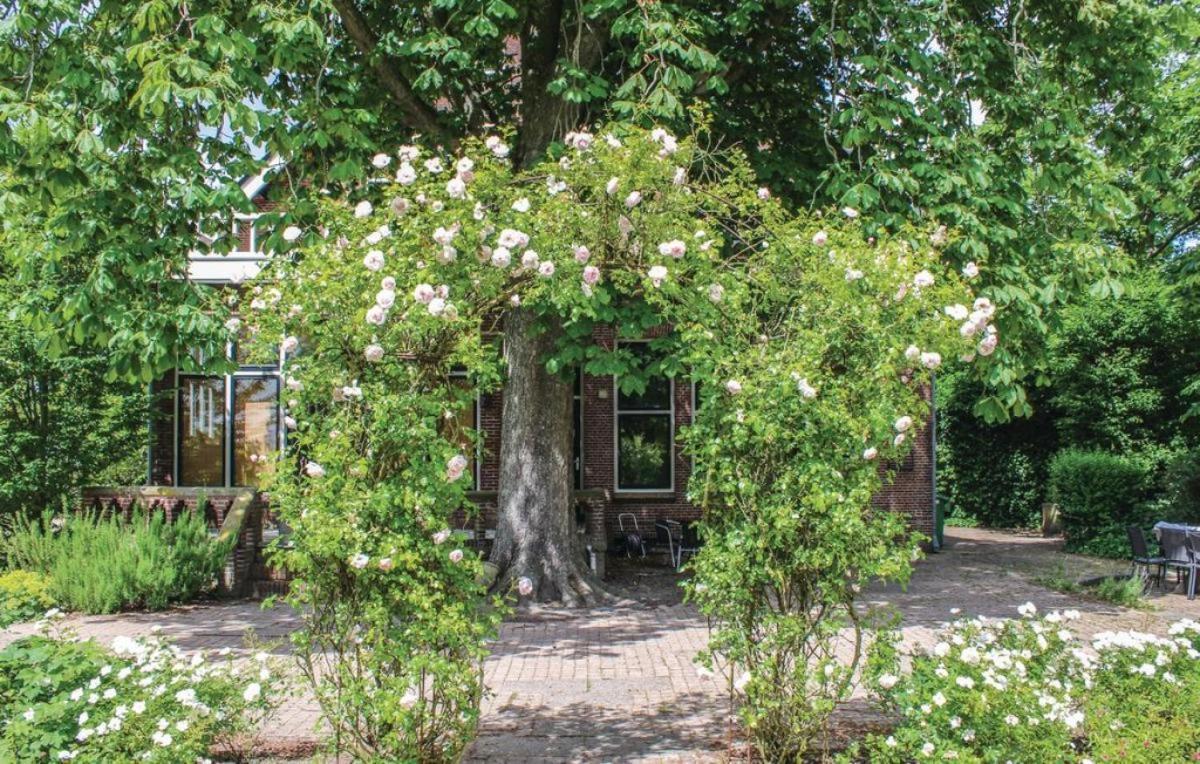 Sint Jacobiparochie Seulle Stateヴィラ エクステリア 写真